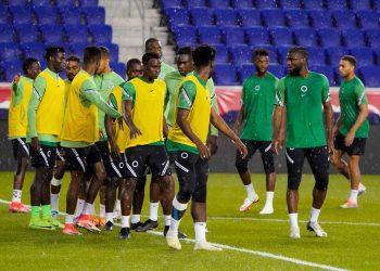 Nigeria vs South Africa: Five key decisions Finidi must make in Super Eagles lineup for crucial World Cup qualifier