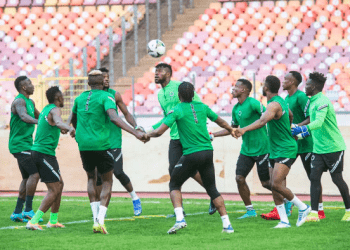 Super Eagles stars’ European dreams take a hit in Germany