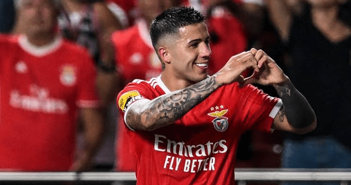 Enzo Fernandez, Benfica