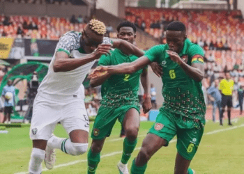 Guinea-Bissau vs. Nigeria: Meet the Wild Dogs that could crush Super Eagles’ AFCON hopes