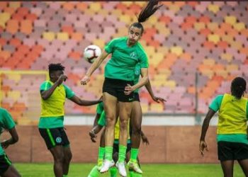 “I’m excited to see Oshoala and Oparanozie play together”- Super Falcons boss Randy Waldrum