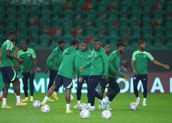Cup-winning Super Eagles star set for Panathinaikos move as Greeks eye Champions League return