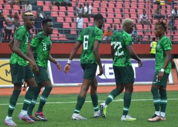 Moses Simon joins Peseiro to show support for under-fire Francis Uzoho