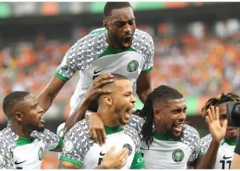 AFCON 2023: Jose Peseiro opens up on Kelechi Iheanacho’s lack of game time