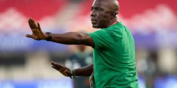 Olowookere invites 22 as Flamingoes face final hurdle to India