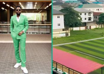 Wizkid or Burna Boy? – Alex Iwobi reveals his favourite Nigerian music artist