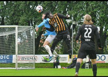 Aarhus Fremad: Paystack co-founder Shola Akinlade buys Danish club