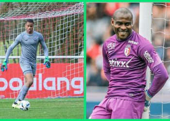 Super Eagles’ future brightens: Vincent Enyeama’s son joins LOSC Lille