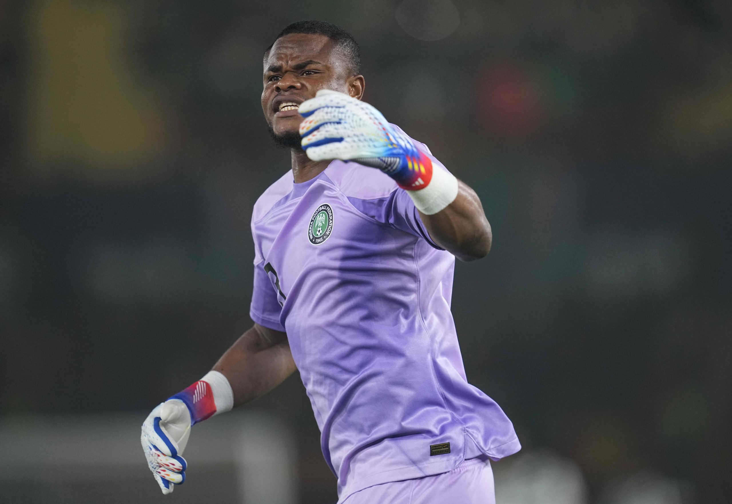 Stanley Bobo Nwabali Nigeria looks on during a African Cup of Nations Round of 16 game, Nigeria vs Cameroon