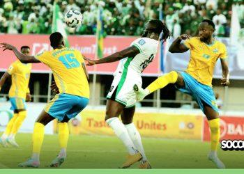 Wolves new coach Rob Edwards delivers verdict on Tolu Arokodare