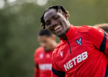 Afcon champion who turned down Man United praises Palace after beating Man City