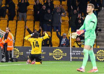 Tolu Arokodare: Super Eagles star set for baptism of fire at Wolves