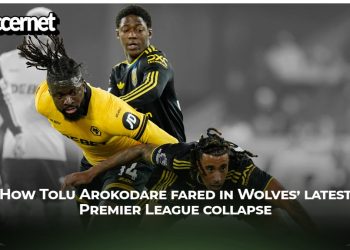 Wolves new coach Rob Edwards delivers verdict on Tolu Arokodare