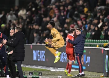 “Good pass” – Harry Wilson credits Super Eagles star after scoring a worldie against Crystal Palace