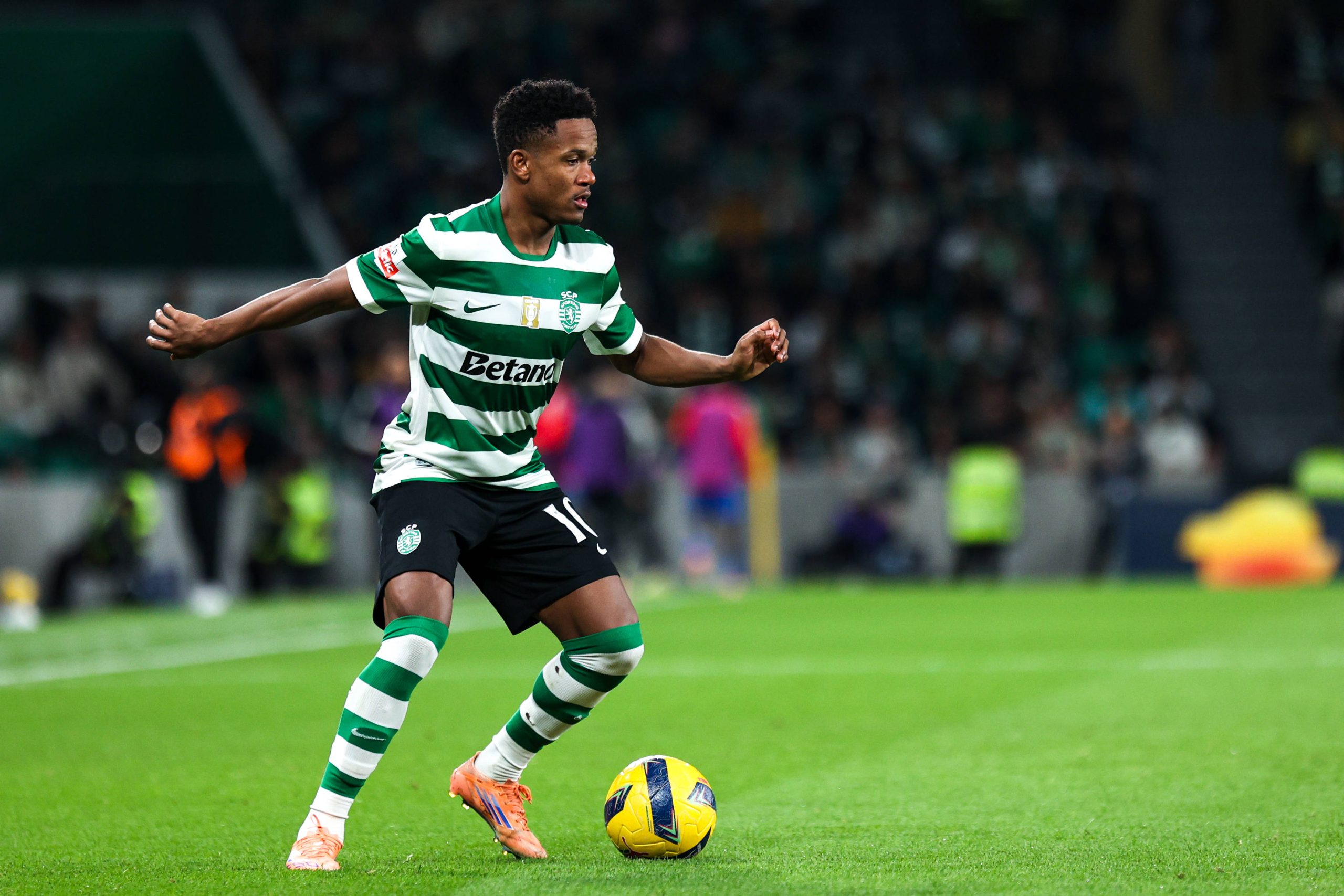 Geny Catamo durante a partida entre Sporting CP v AVS SAD