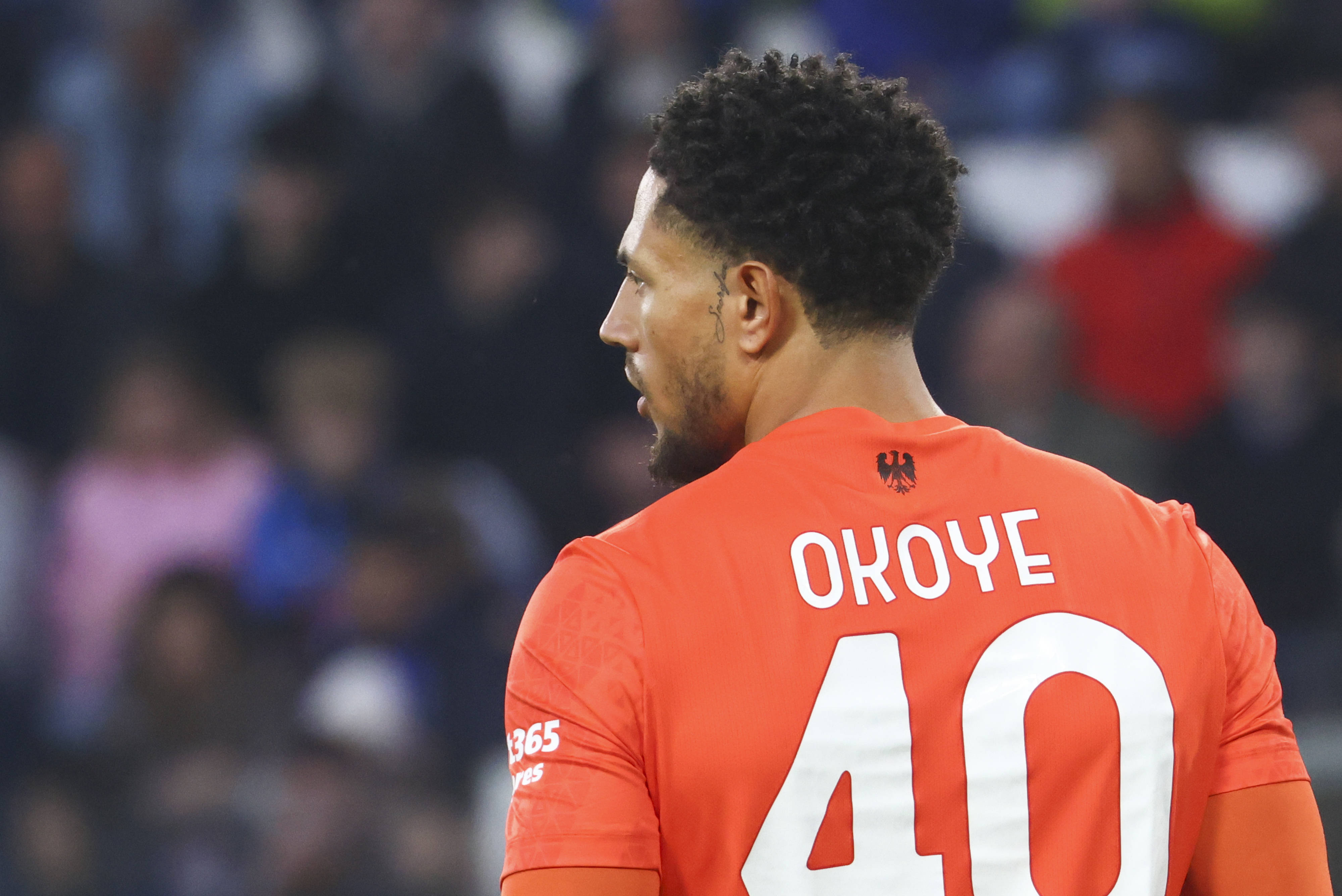 Nigeria and Udinese goalkeeper Maduka Okoye