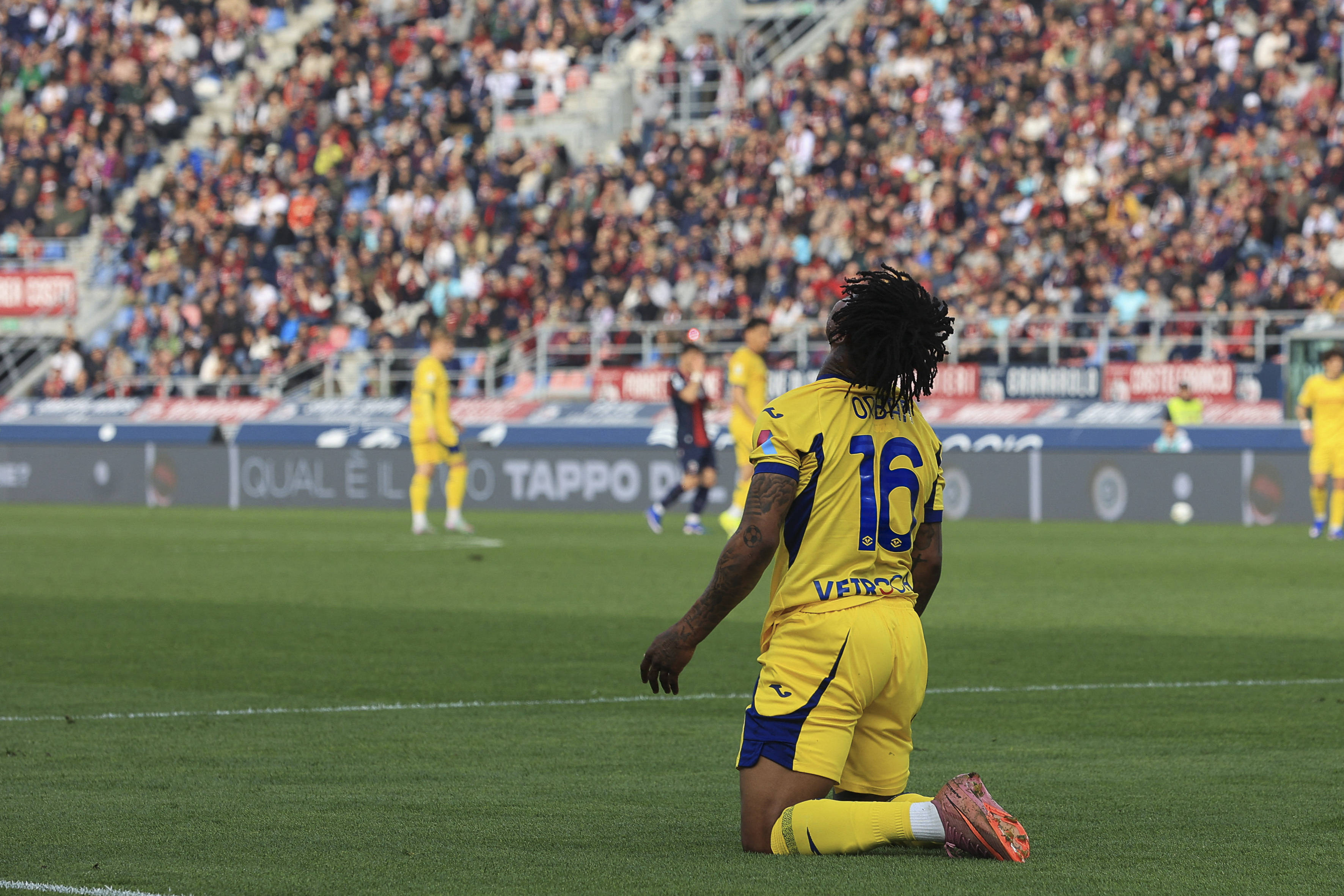 Hellas Verona striker Gift Orban